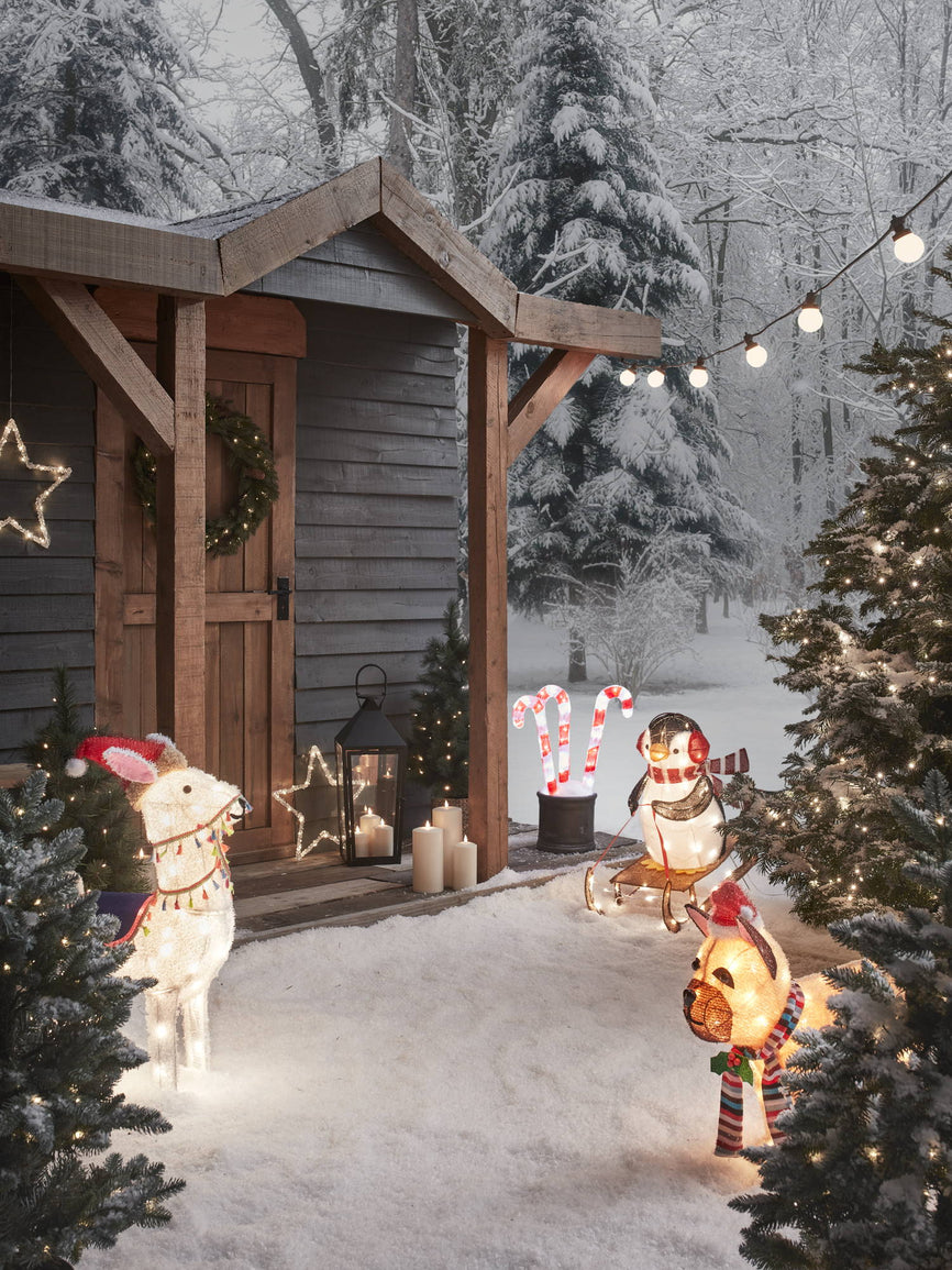 Ein winterlicher Garten – Verbreite festliche Stimmung