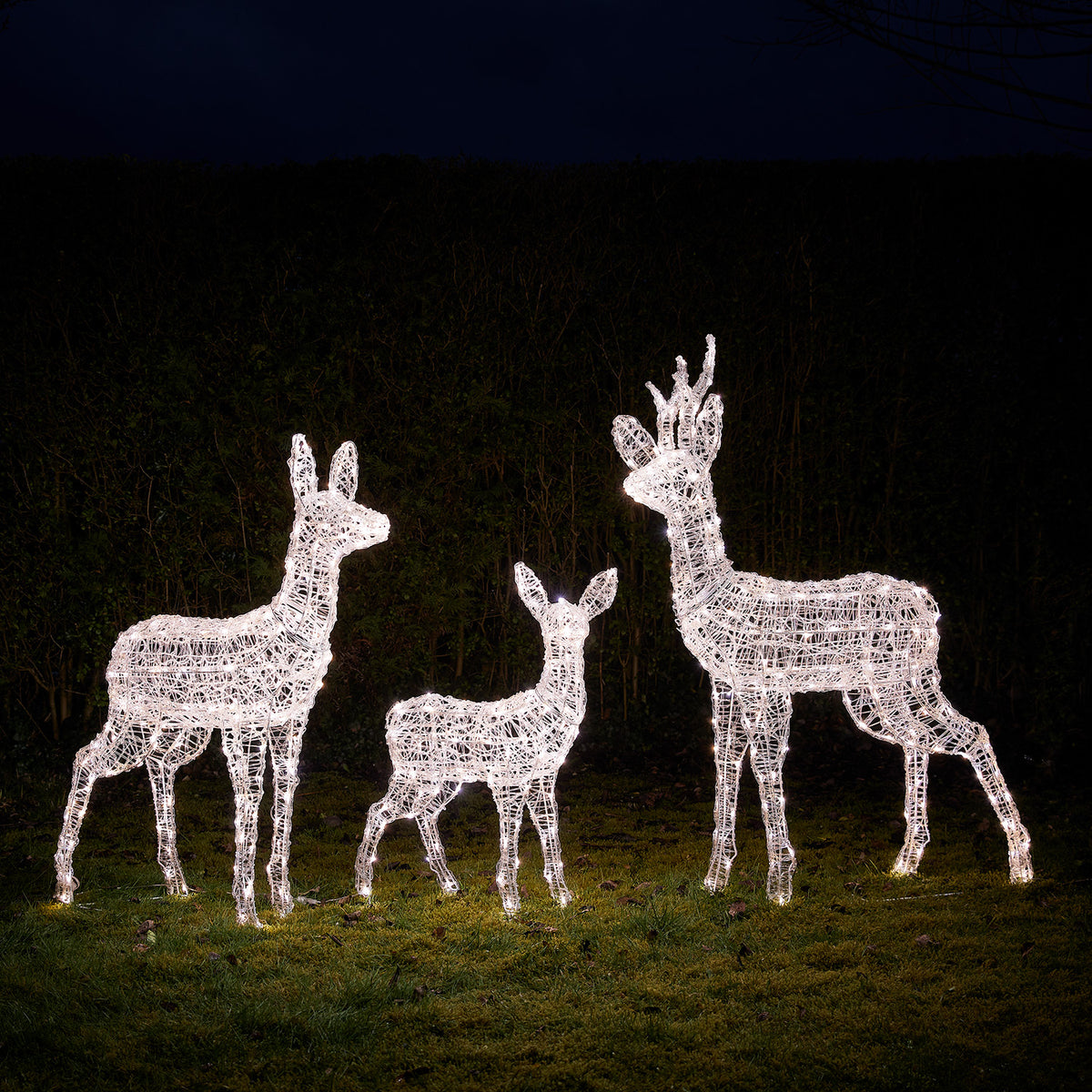 3er Set Bicolor LED-Rentierfamilie L Swinsty
