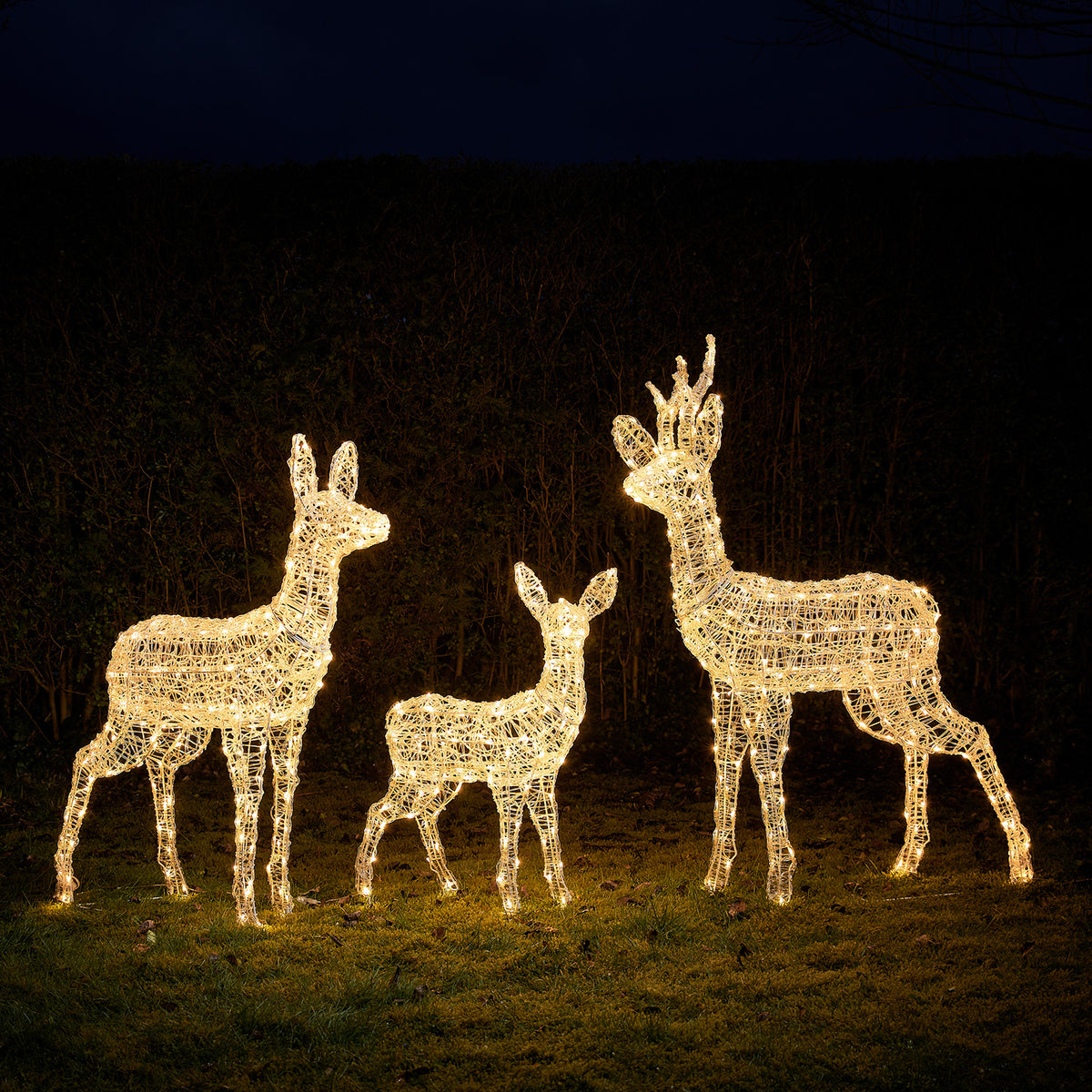 3er Set Bicolor LED-Rentierfamilie L Swinsty
