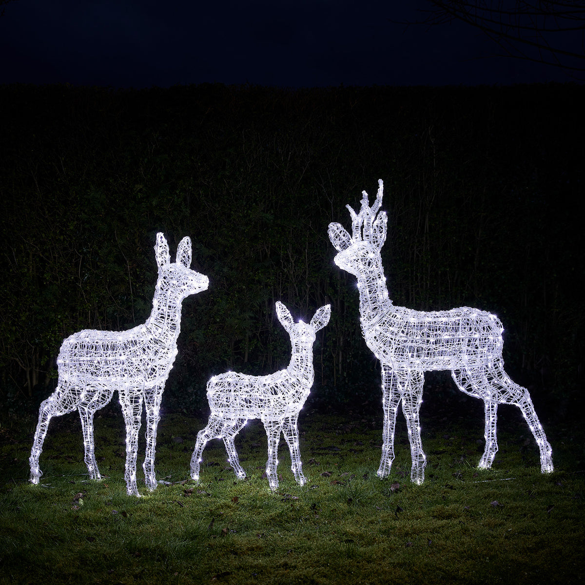 3er Set Bicolor Solar-LED-Rentierfamilie L Swinsty aus Acryl