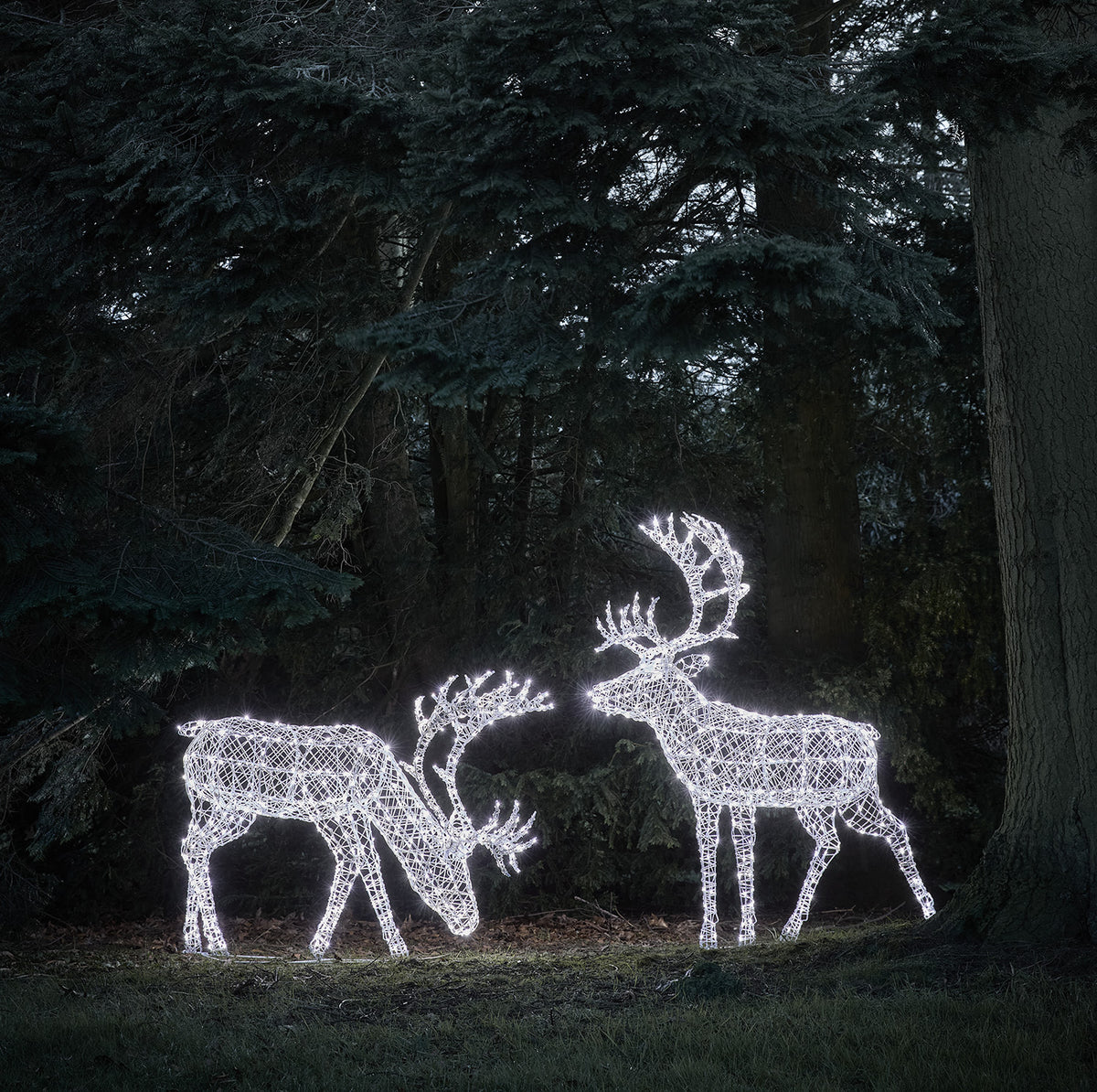 Großes Bicolor Solar-LED-Rentier-Set Arkendale mit Fernbedienung