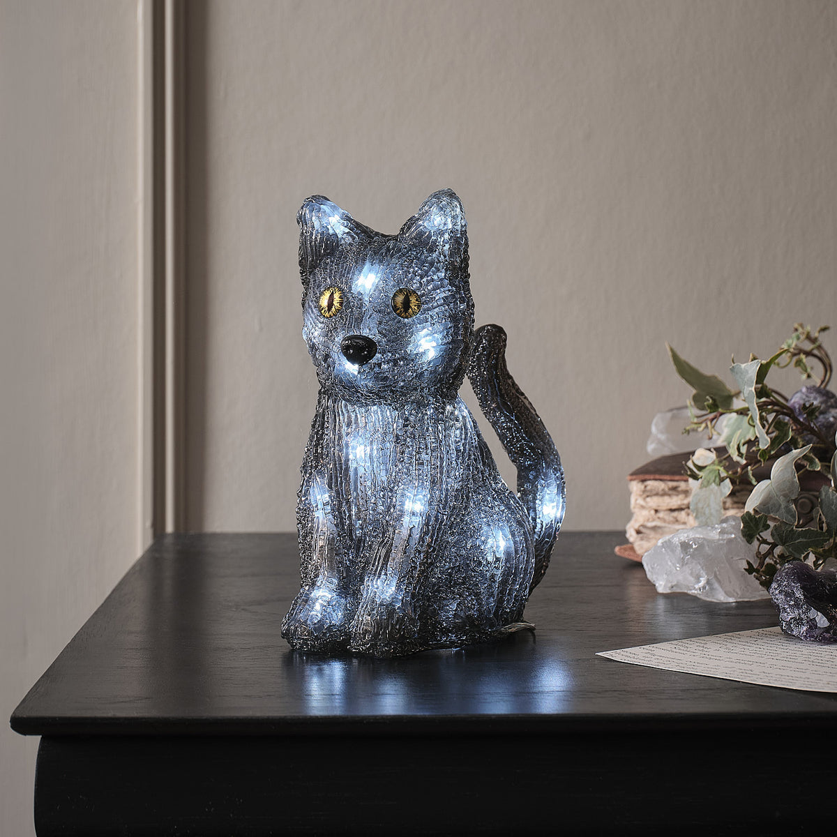 Katze „Jet“