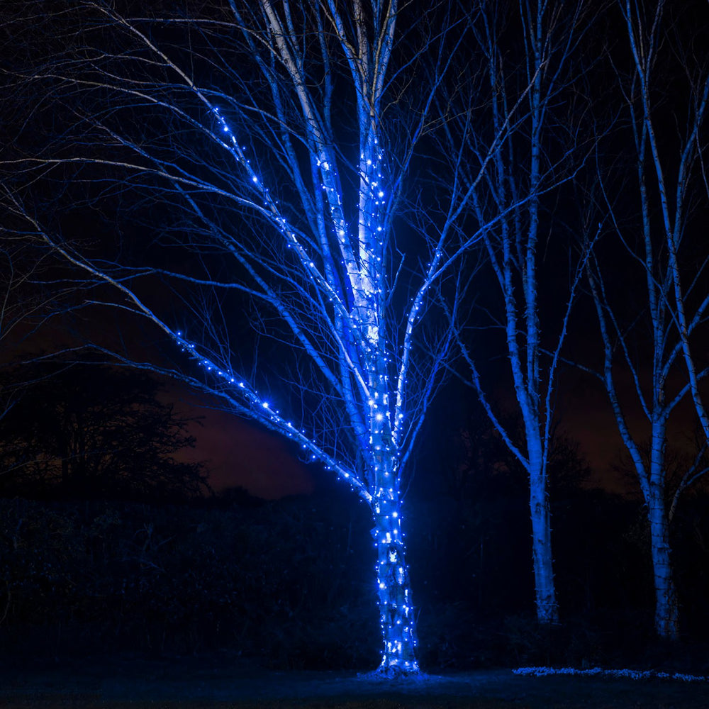 Pro Connect 5m 50er LED Lichterkette blau koppelbar schwarzes Kabel IP67