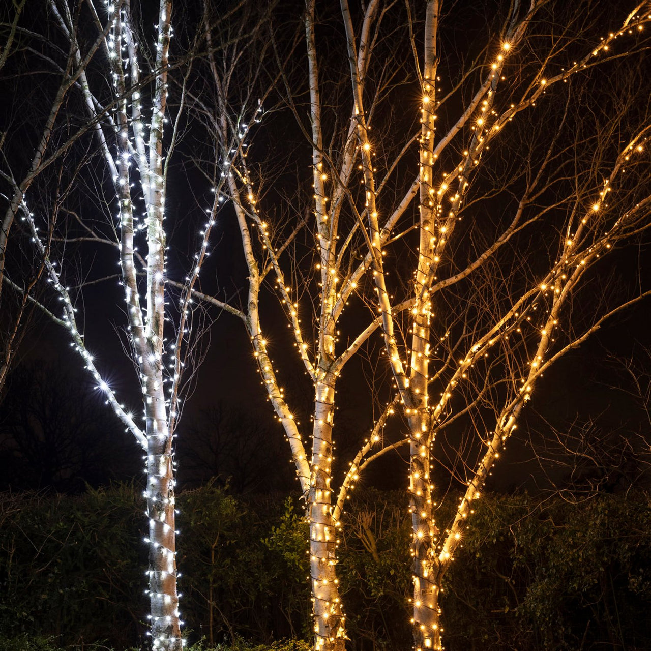 Pro Connect IP67, 10m 100er LED Lichterkette weiß koppelbar weißes Kabel