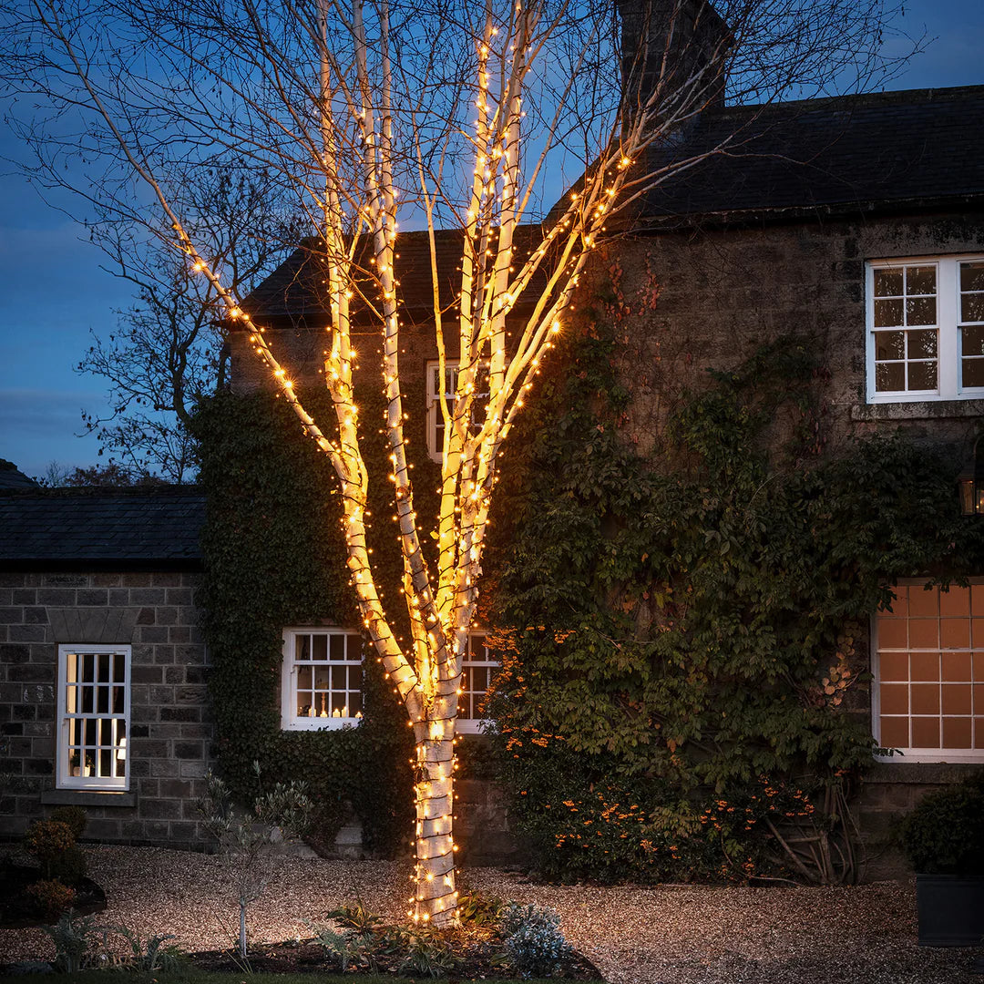 Baum vor einem Wohnhaus mit warmweißer LED-Lichterkette beleuchtet