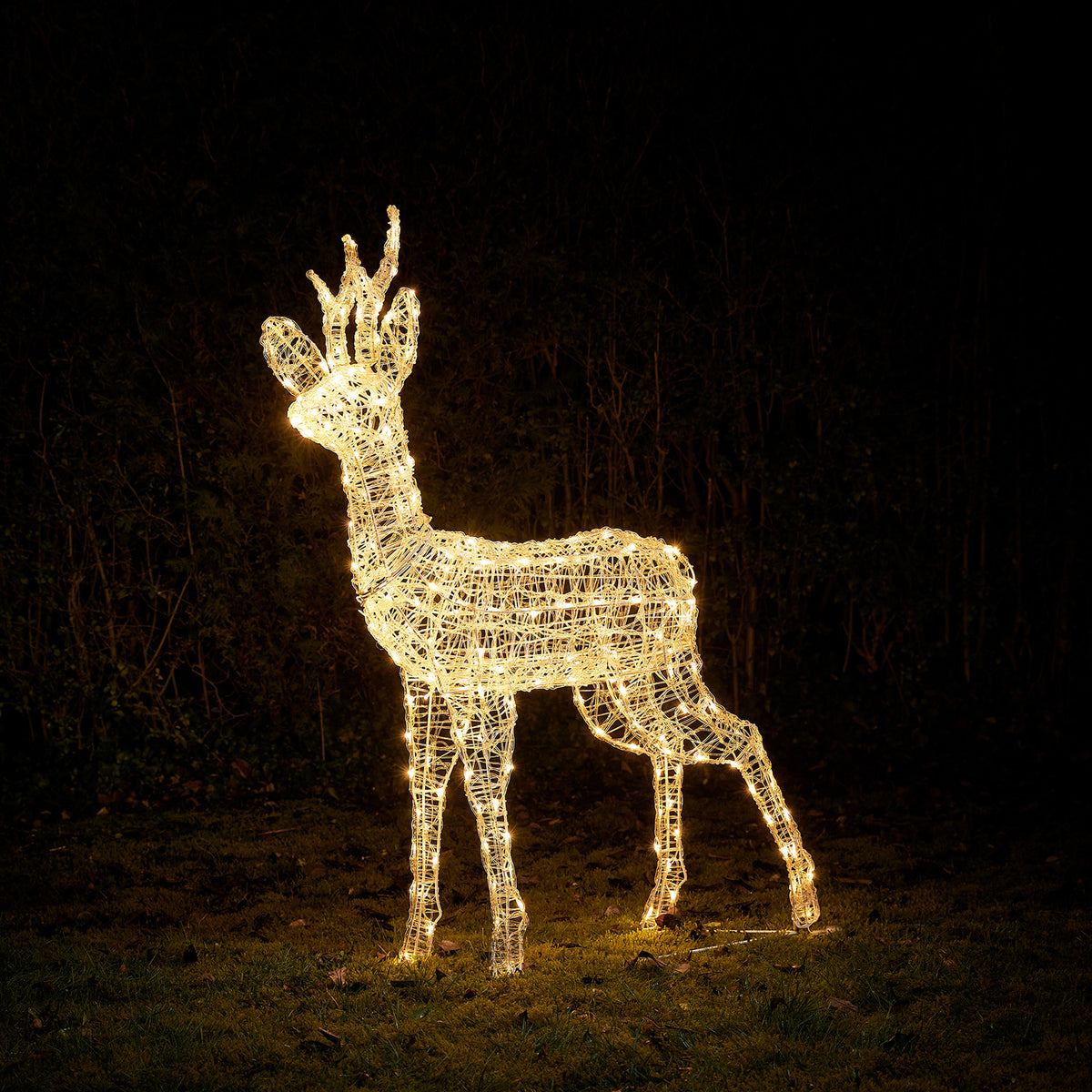 Bicolor Solar-LED-Rentier Hirsch L Swinsty aus Acryl