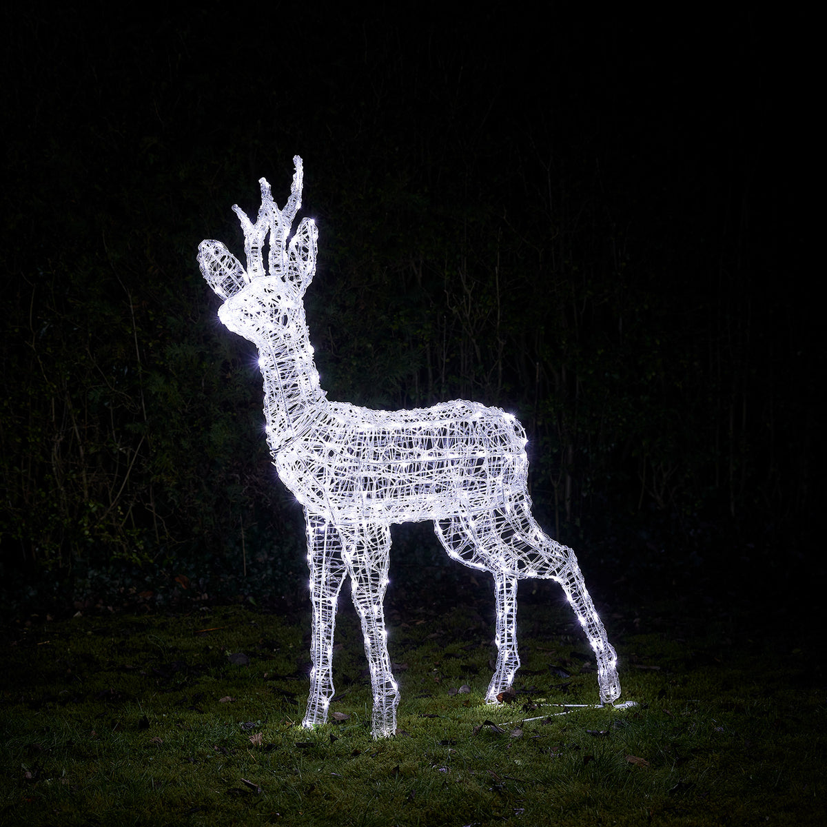 Bicolor Solar-LED-Rentier Hirsch L Swinsty aus Acryl