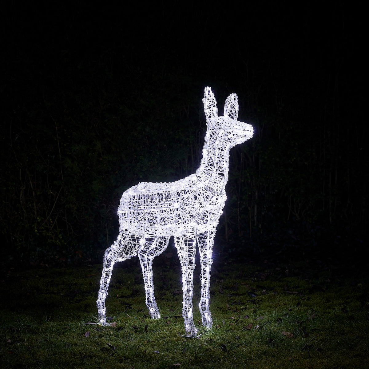 Bicolor Solar-LED-Rentier Hirschkuh L Swinsty aus Acryl