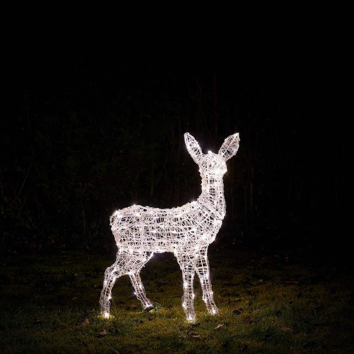 Bicolor Solar-LED-Rentier Rehkitz L Swinsty aus Acryl