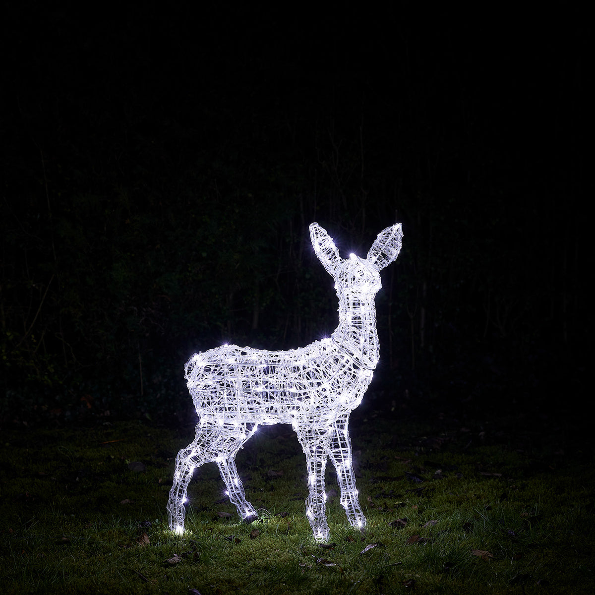 Bicolor Solar-LED-Rentier Rehkitz L Swinsty aus Acryl