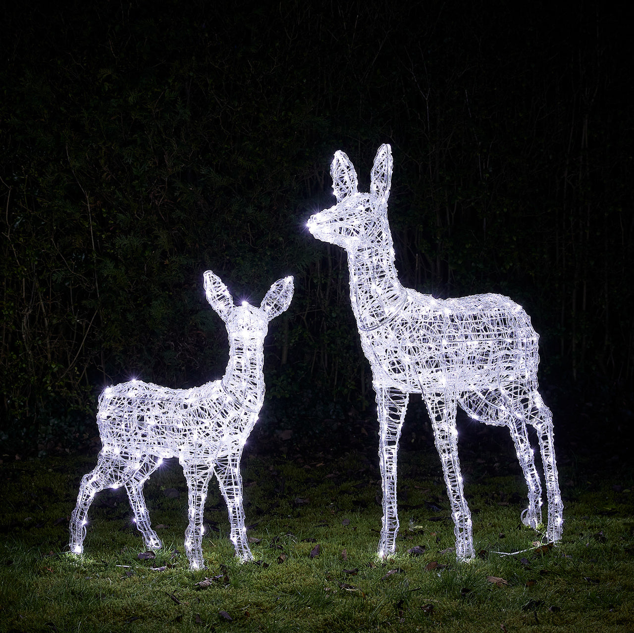 2er Set Bicolor LED-Rentiere Hirschkuh & Rehkitz L Swinsty