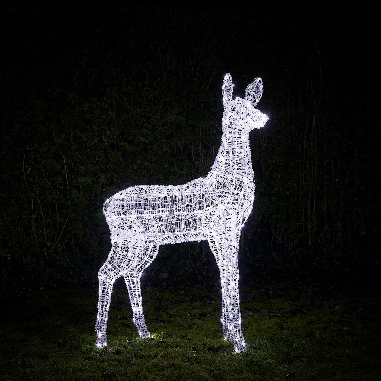 Bicolor LED-Rentier Hirschkuh XL Swinsty
