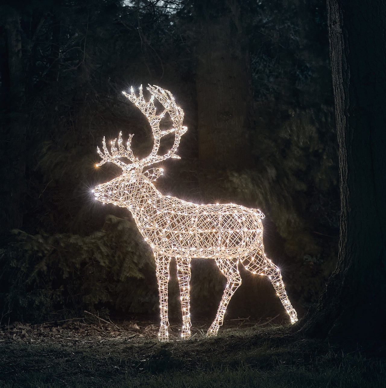 1,8m Arkendale Bicolor LED Rentier