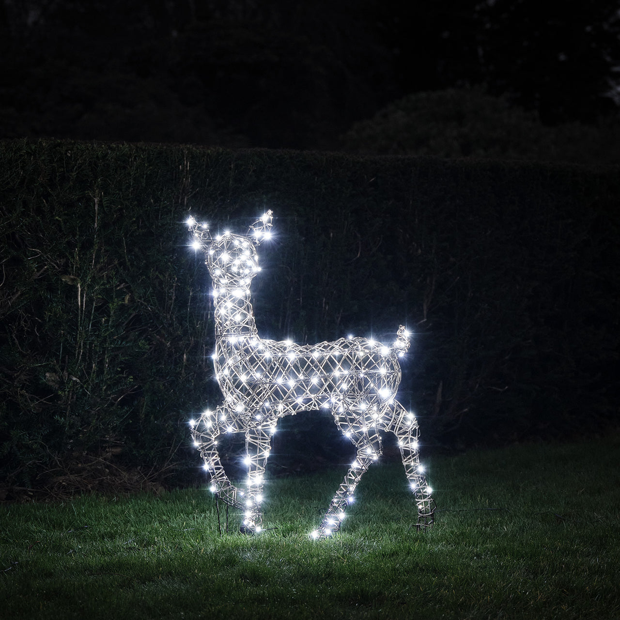 Solar-LED‑Rentier Hirschkuh L Studley