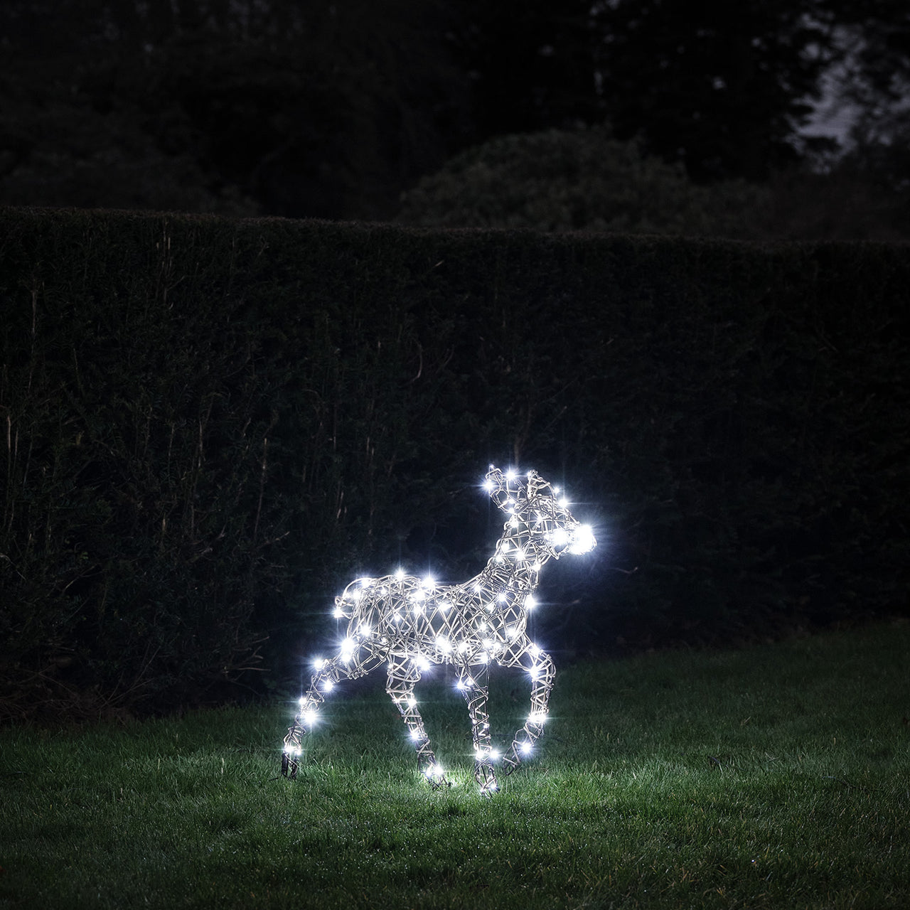 Solar-LED-Rentier Rehkitz L Studley