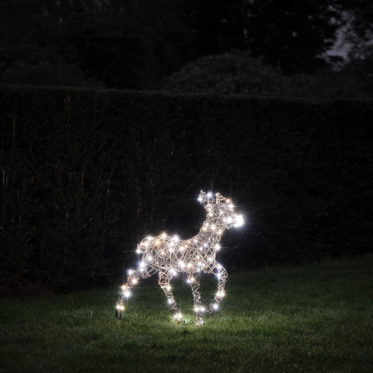 Solar-LED-Rentier Rehkitz L Studley