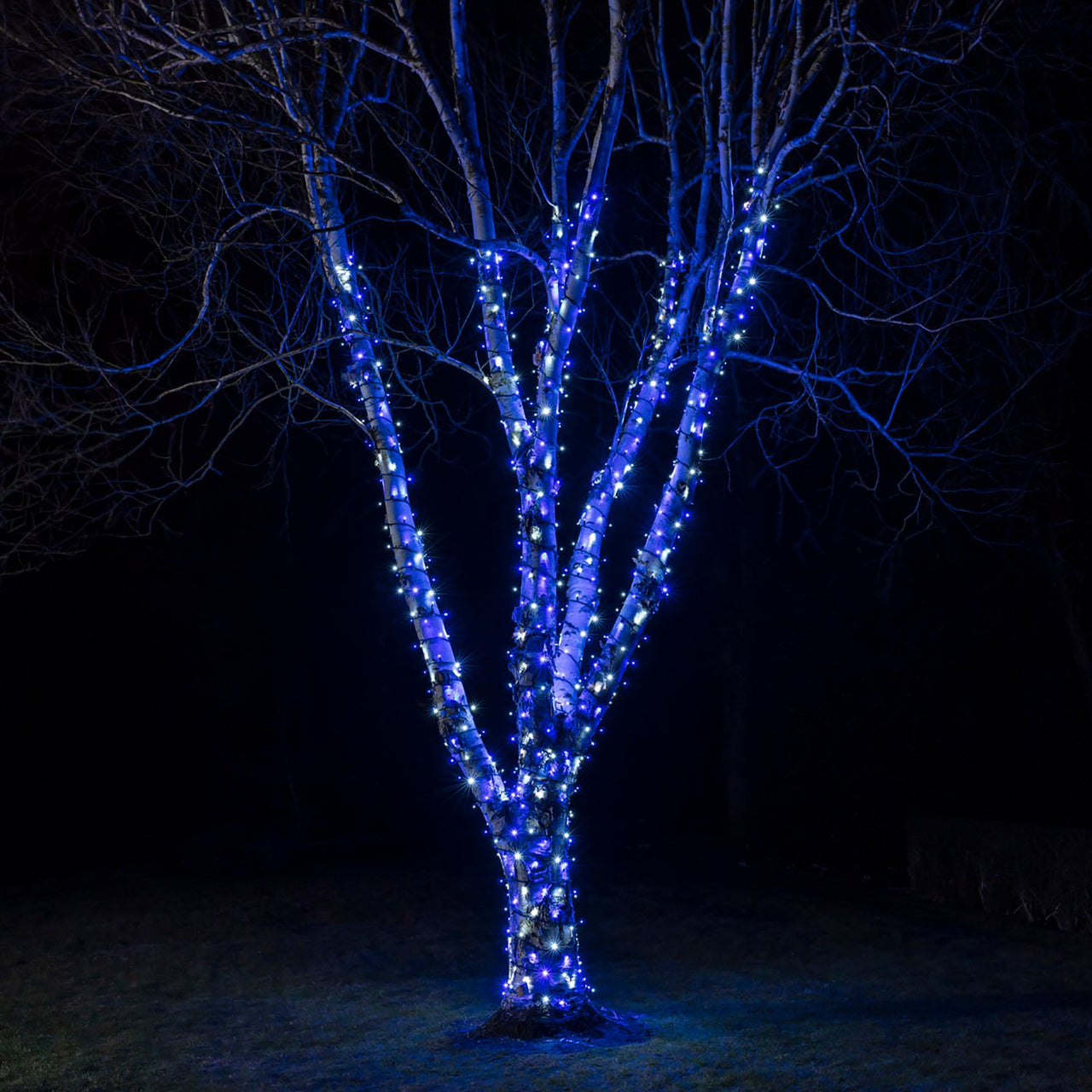 85m 850er LED Lichterkette blau weiß koppelbar schwarzes Kabel Pro Serie