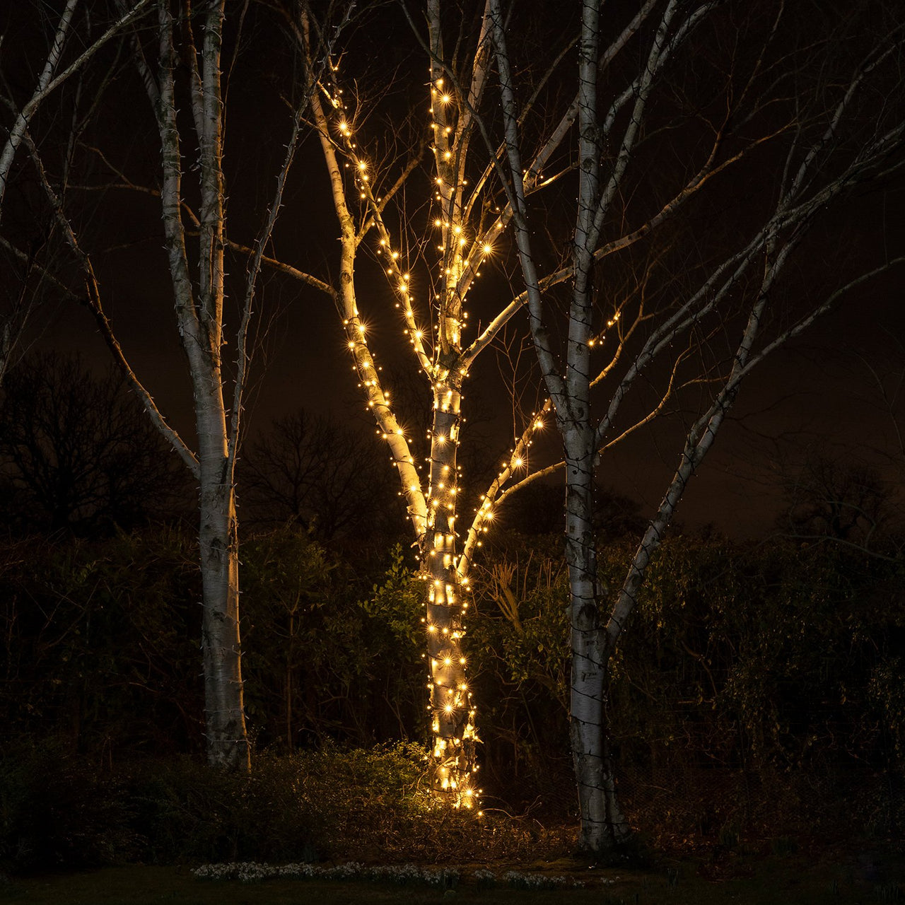 65m 650er LED Lichterkette warmweiß koppelbar schwarzes Kabel Pro Serie