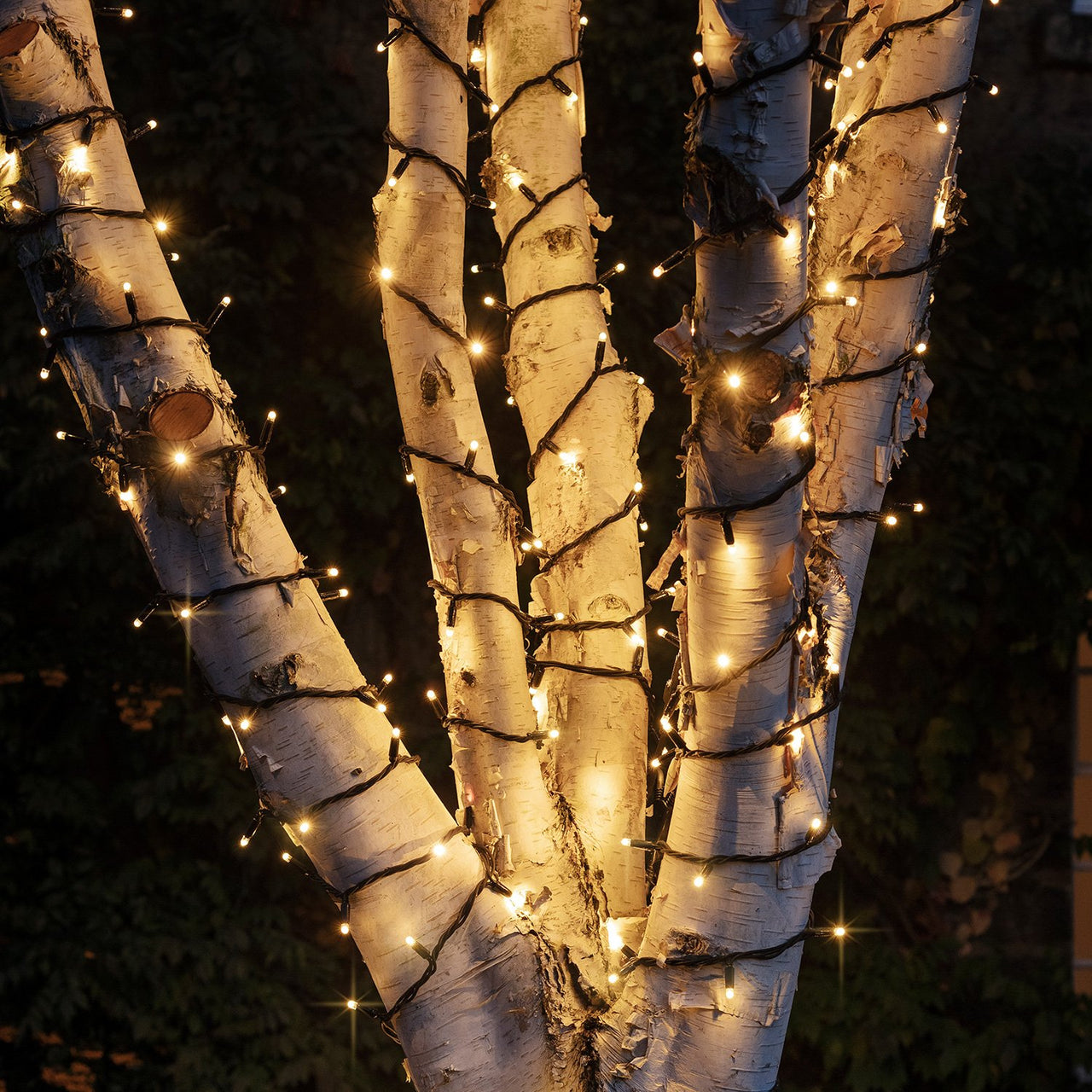 185m 1850er LED Lichterkette warmweiß koppelbar schwarzes Kabel Pro Serie