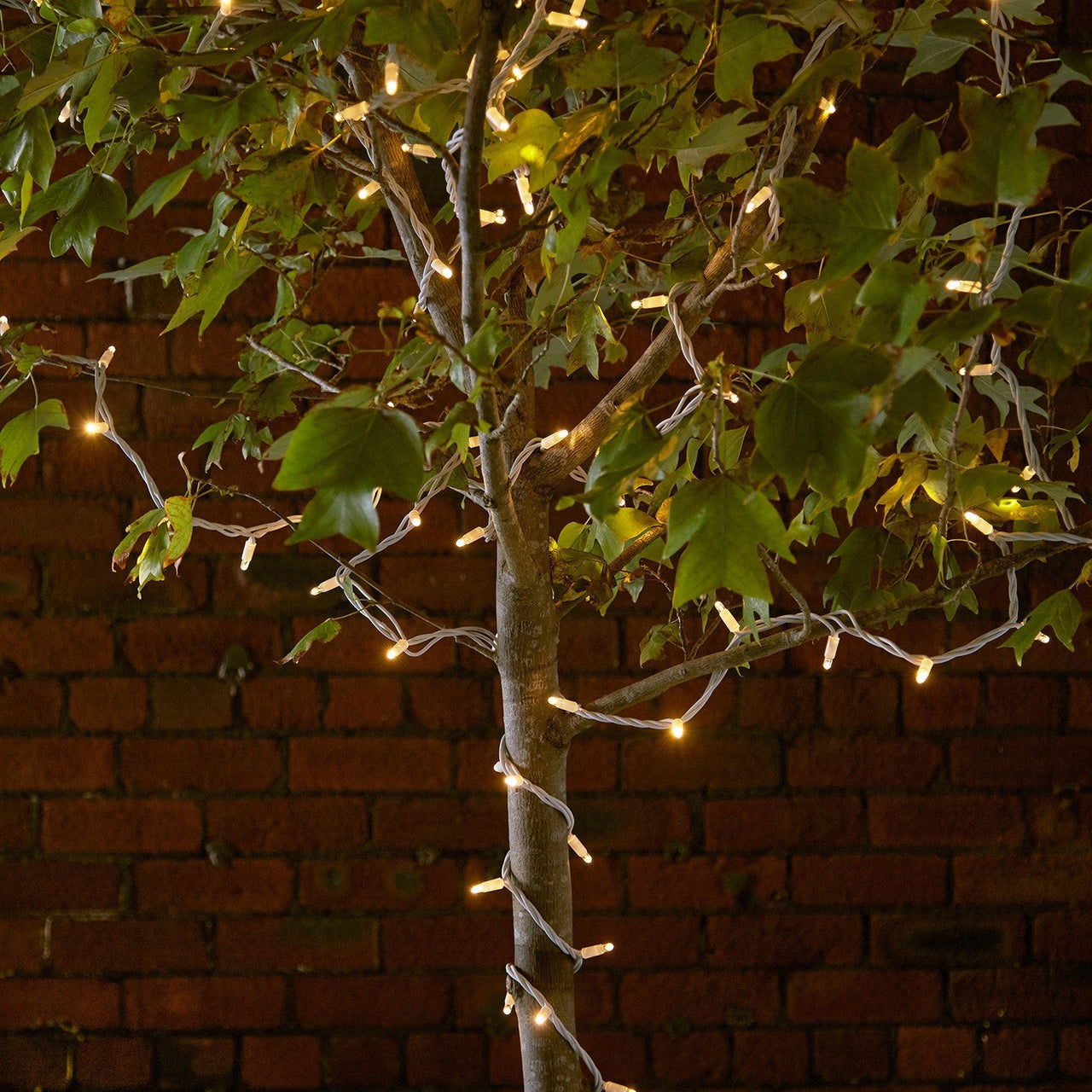 Pro Connect 50m 500er LED Lichterkette warmweiß koppelbar weißes Kabel